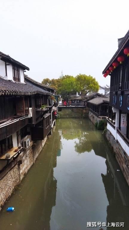 拯救树精灵